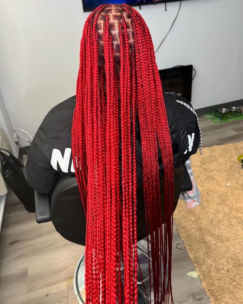 Long Box Braids With Color