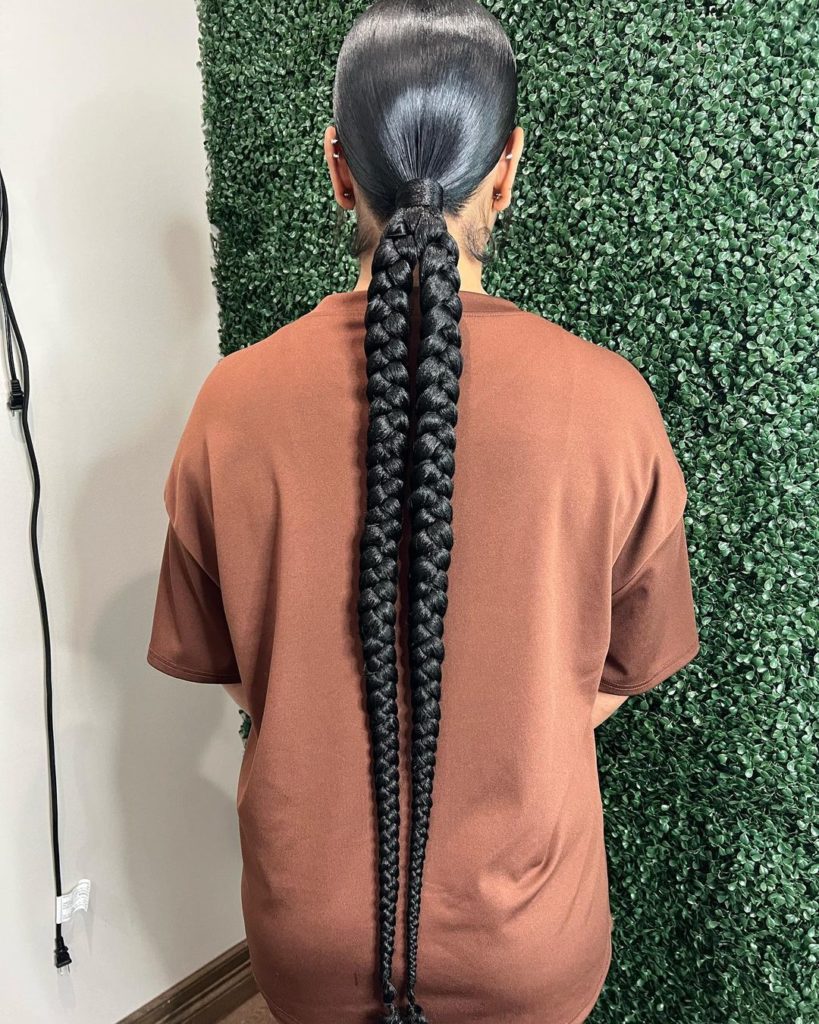 Two in One Ponytail Braids