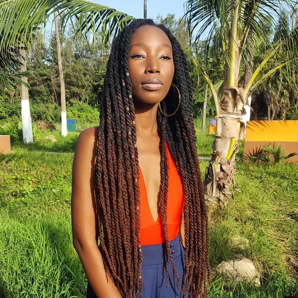 Ombre Marley Twists