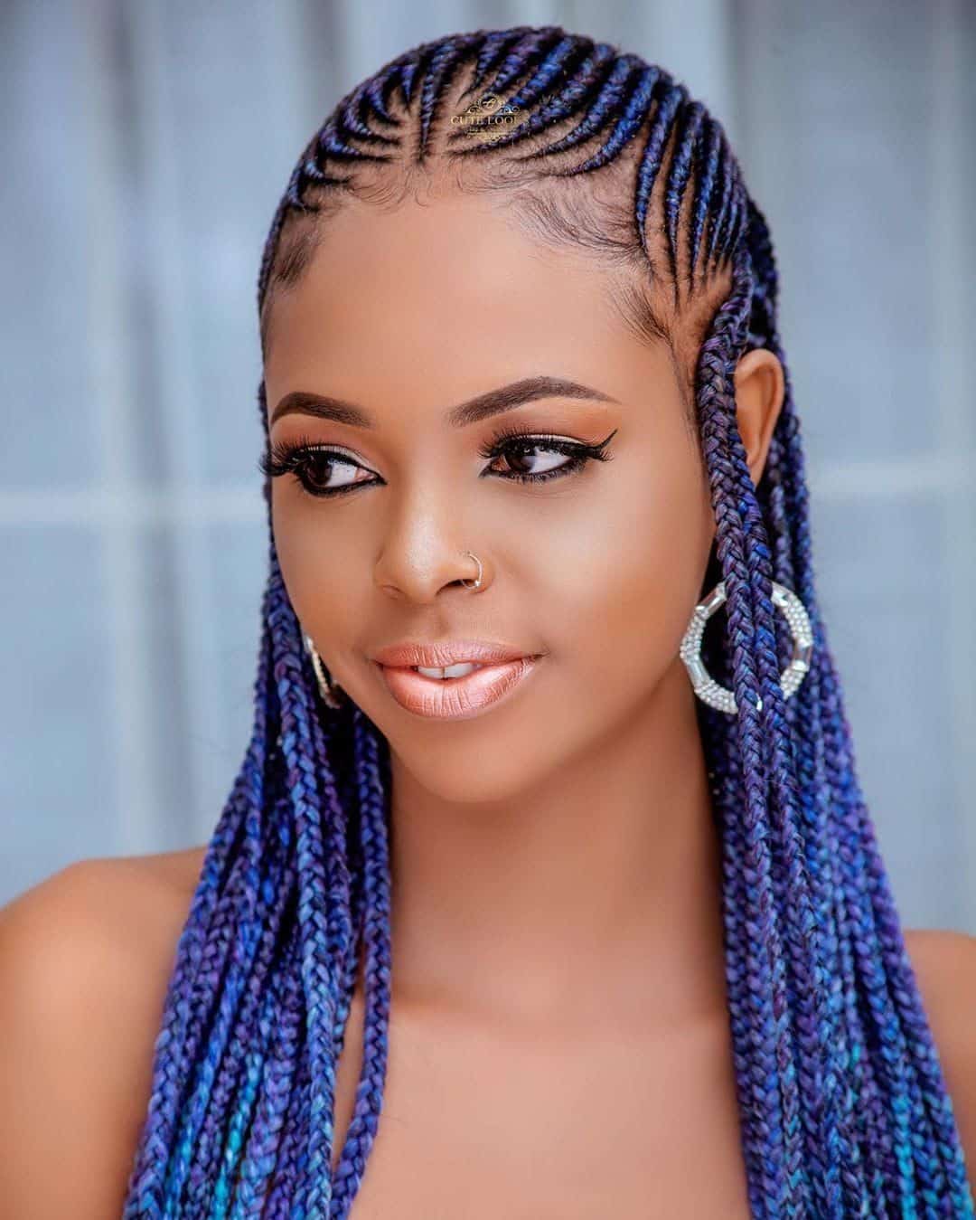25 Ombré Braids Hairstyles - Braid Hairstyles
