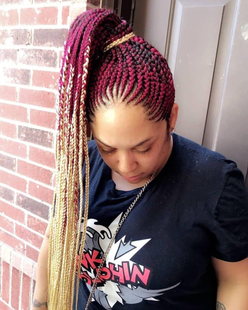 Colored Braids Hairstyle