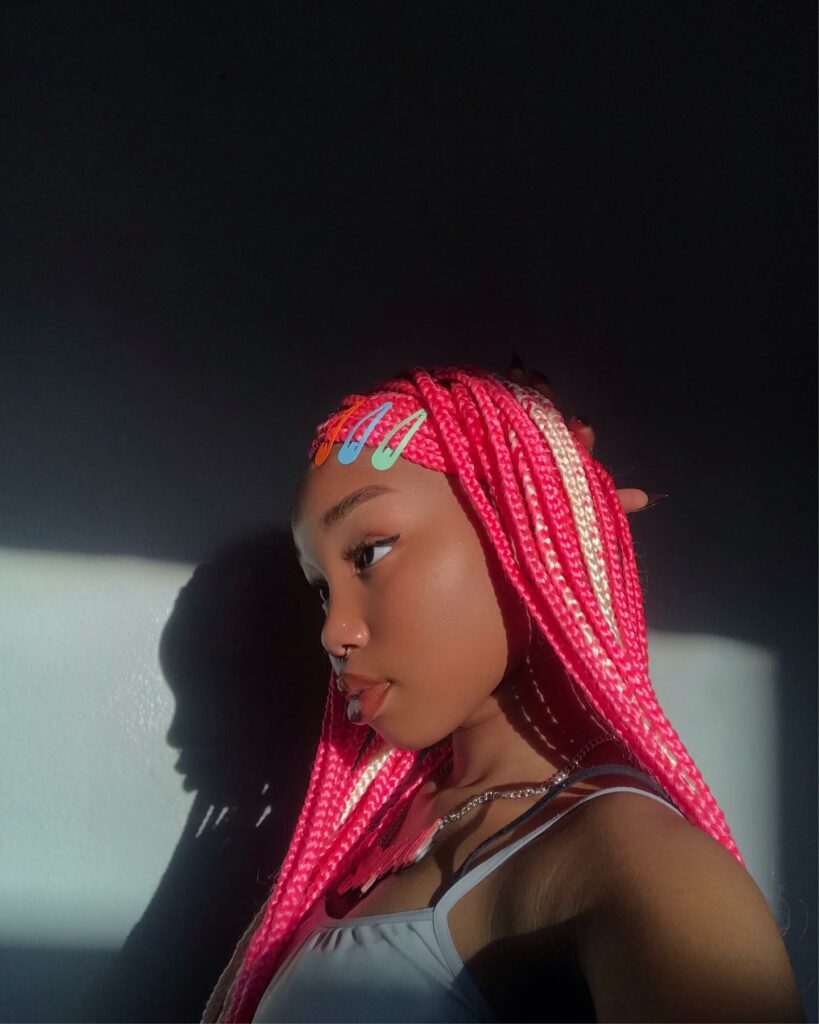 Image of Blonde and Pink Braids in a style with Pink Braids