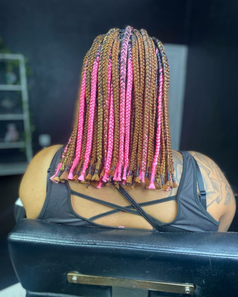 Image of Brown and Pink Braids in a style with Pink Braids