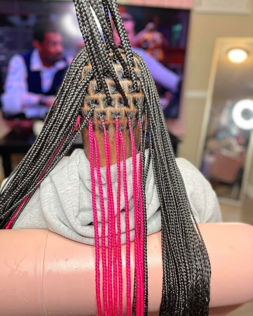 Image of Pink and Black Peekaboo Braids in a style with Pink Braids