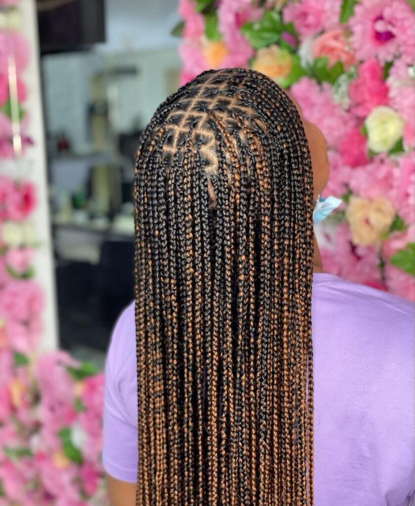 Black Knotless Braids With Brown Highlights is a style with brown braids