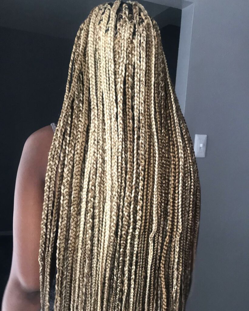 Brown Braids With Blonde Highlights is a style with brown braids