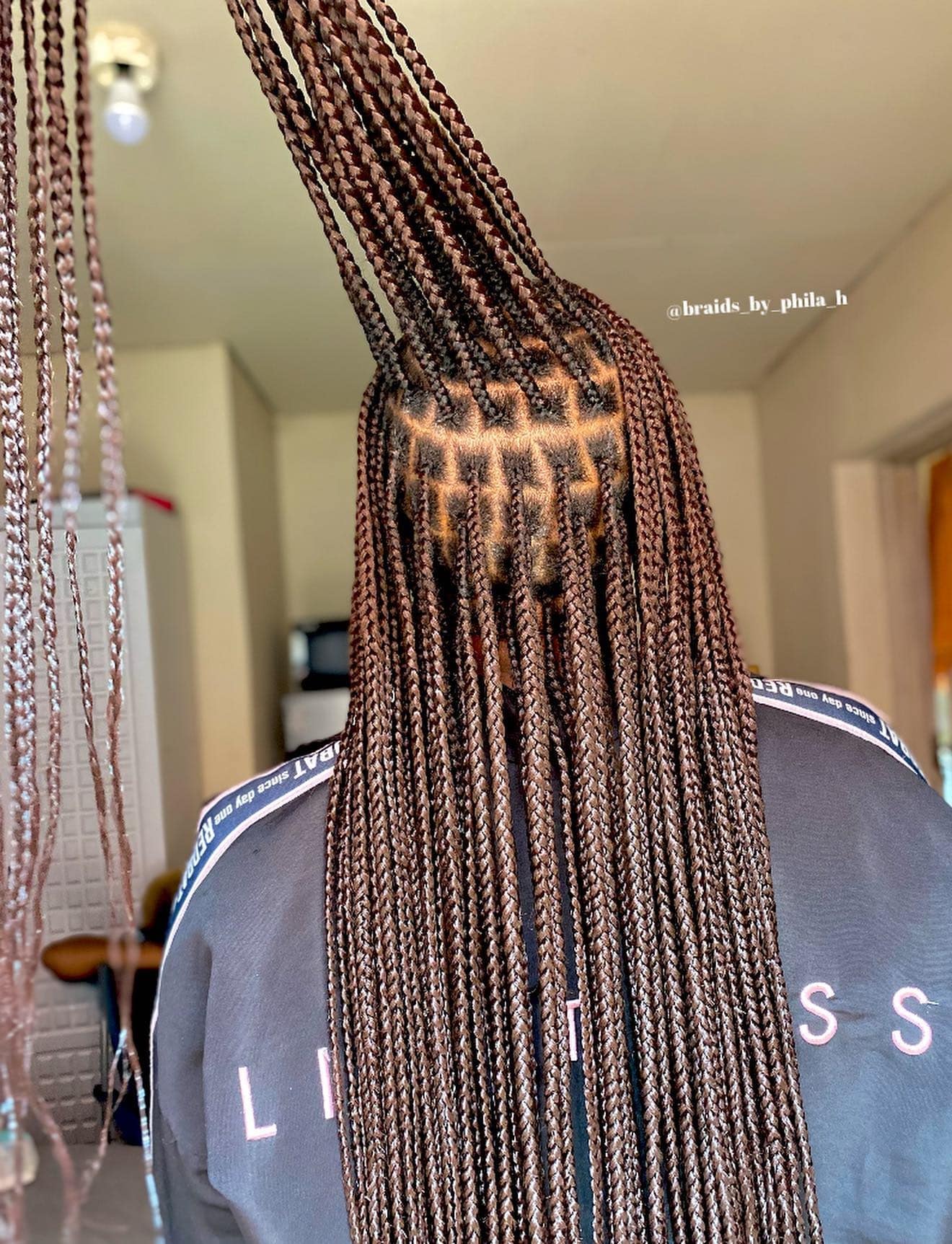 Brown Knotless Braids is a style with brown braids