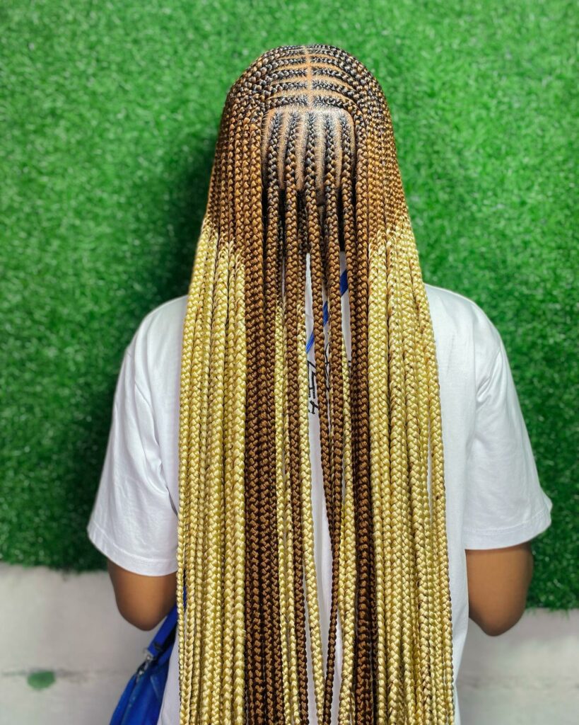 Image of 3 Layered Tribal Braids inspired by Tribal Braids Hairstyles