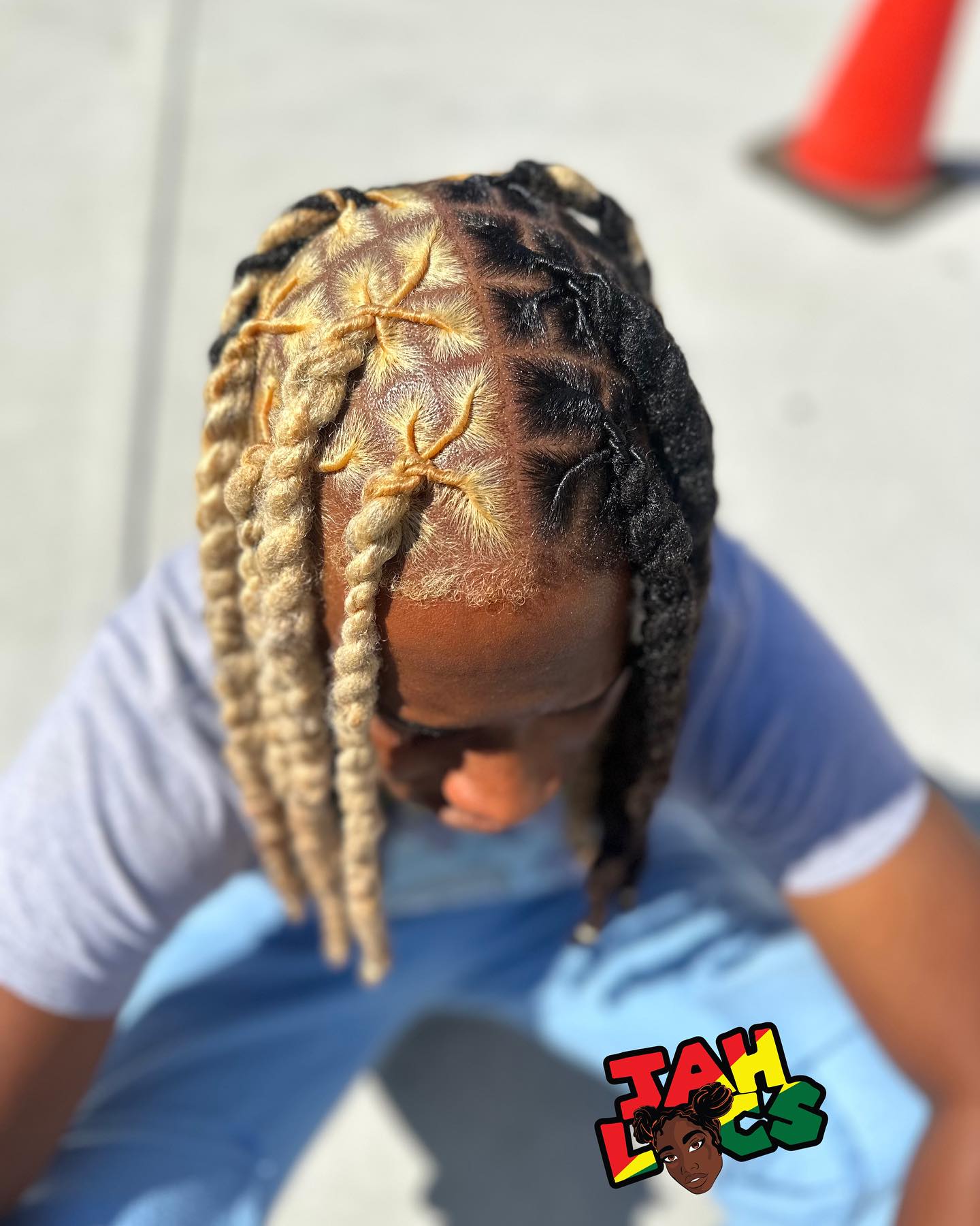 Image of Black And Blonde Dreadlocks inspired by Dreadlocks Hairstyles for Men