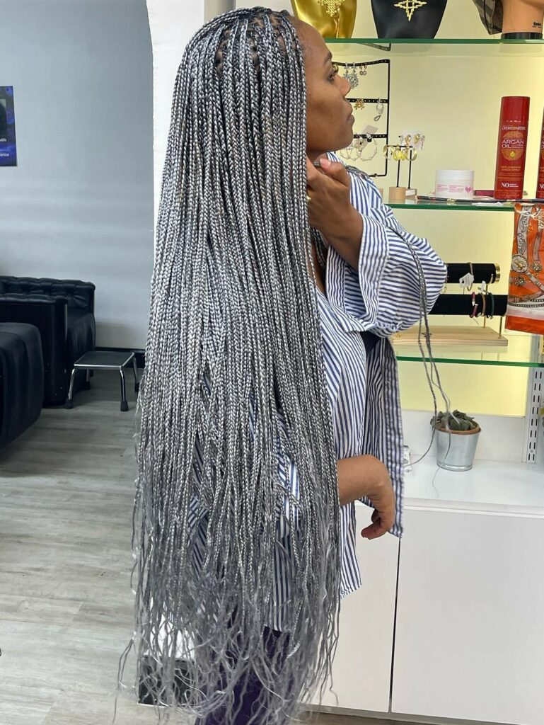 Image of Braids With Grey Extensions in the style of Braid Extensions