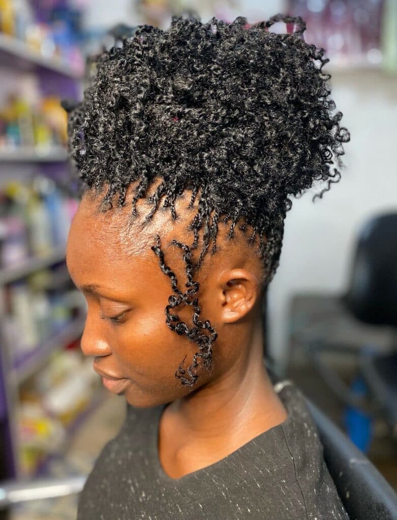 Image of Curly Braids Updo in the style of Braids With Curls