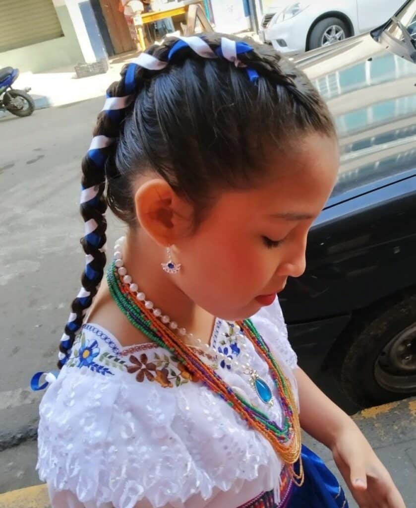 Image of Mexican Dutch Braids in the style of Mexican Braids Styles