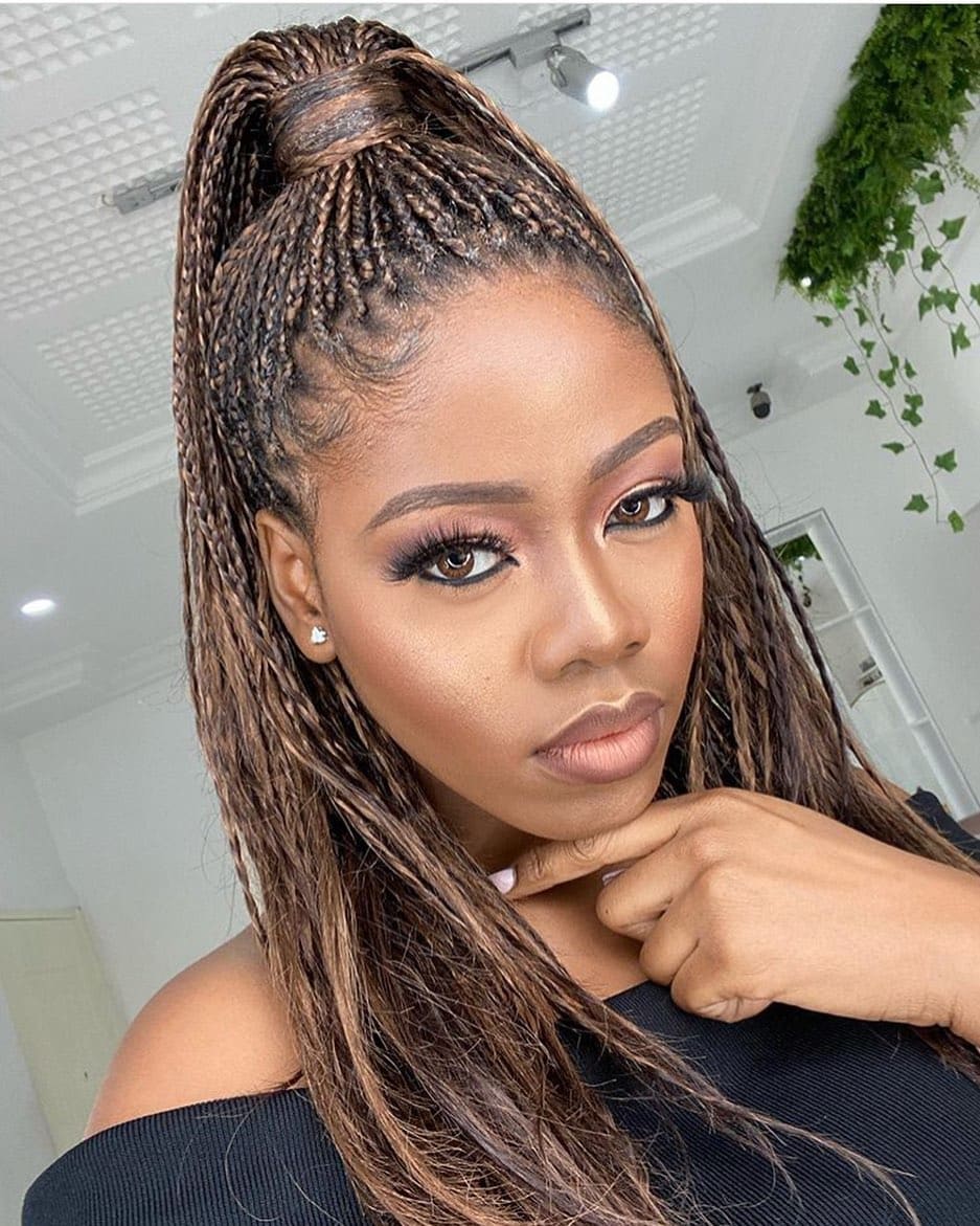 Stunning Micro Box Braids Design Digital Art Stunning Micro Box Braids Design Digital Art