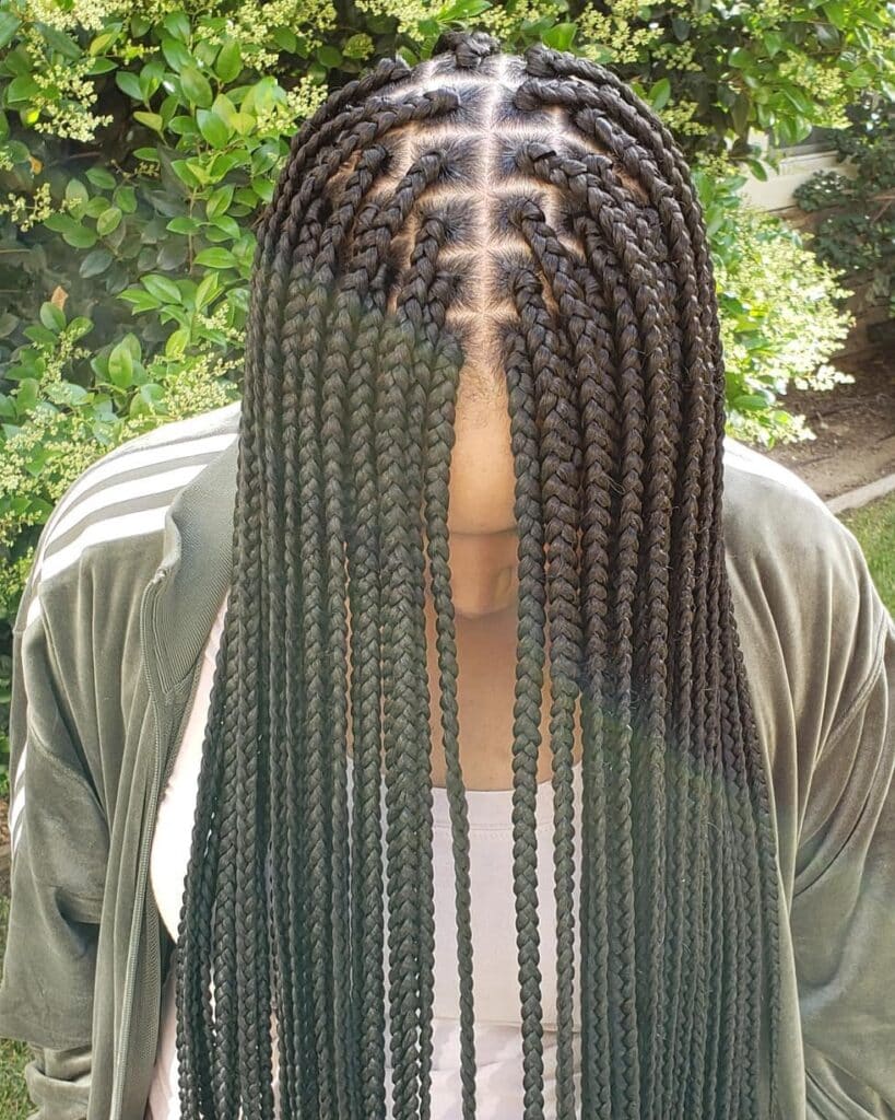 Image of Middle Part Box Braids inspired by Middle Part Braided Hairstyles