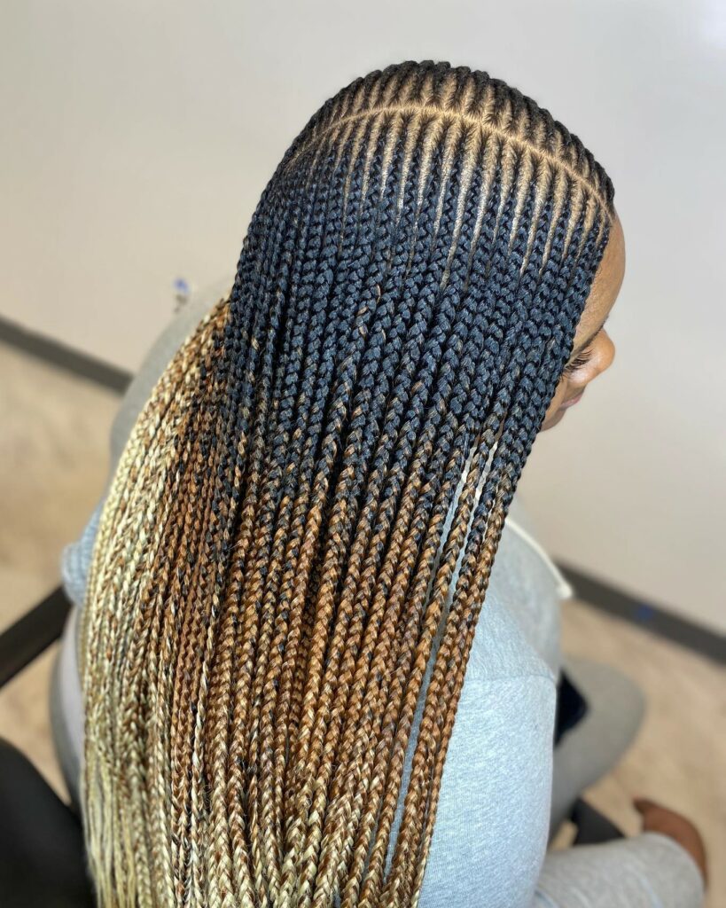 Image of Middle Part Ombre Braids inspired by Middle Part Braided Hairstyles