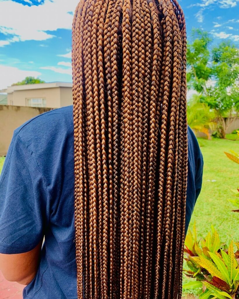 Image of Mixed Color Box Braids in the style of box braids