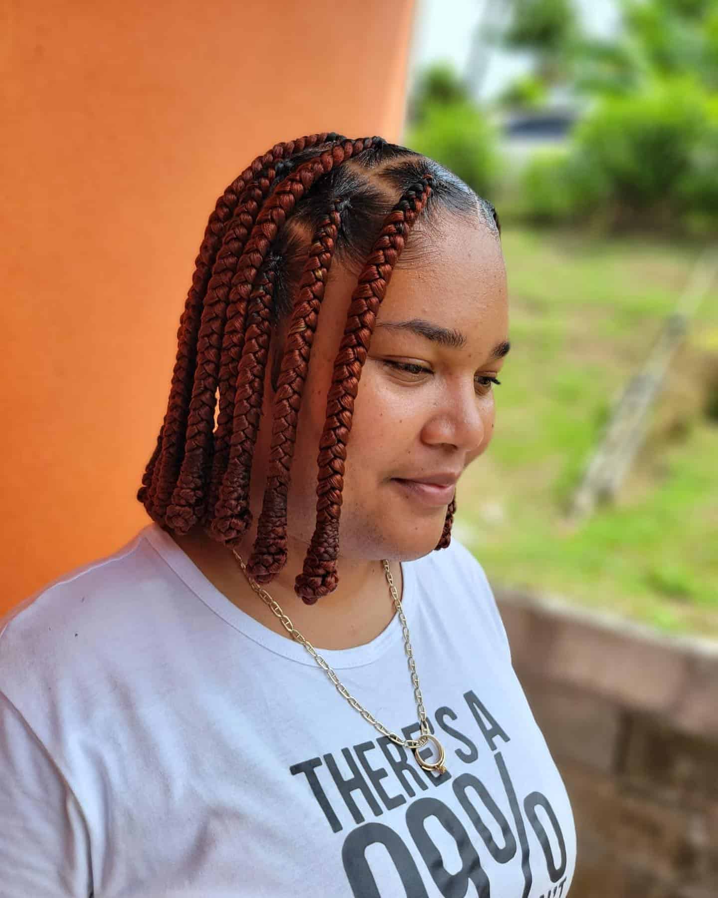 23 Copper Braids Hairstyle Ideas Braid Hairstyles
