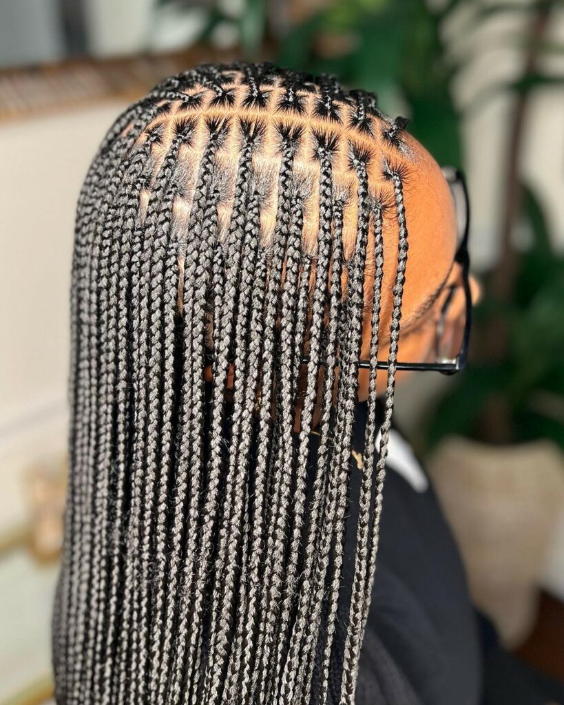 Image of Small Box Braids With Middle Part inspired by Middle Part Braided Hairstyles