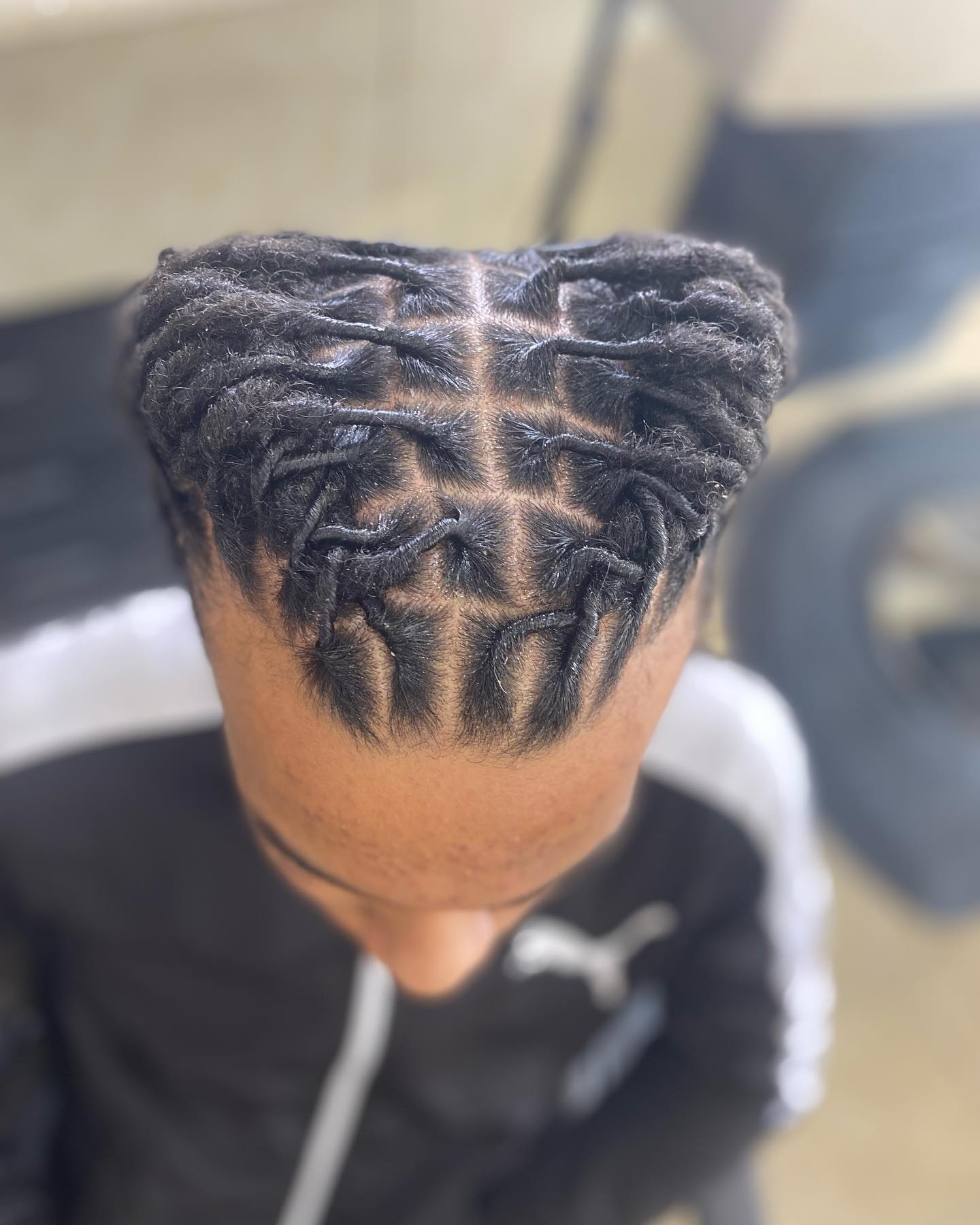 Image of Two Barrel Twist Dreads inspired by Dreadlocks Hairstyles for Men