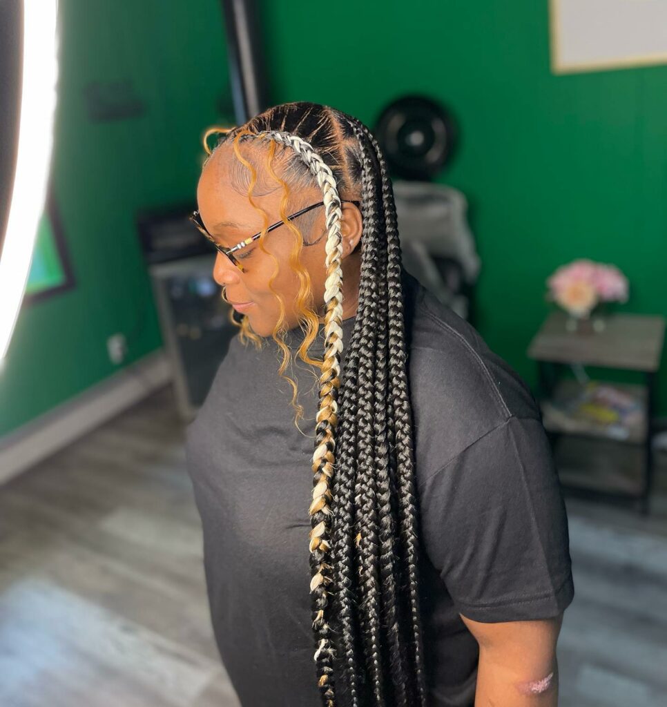 Image of Two Braids with Box Braids in the Back in the style of Two Braids