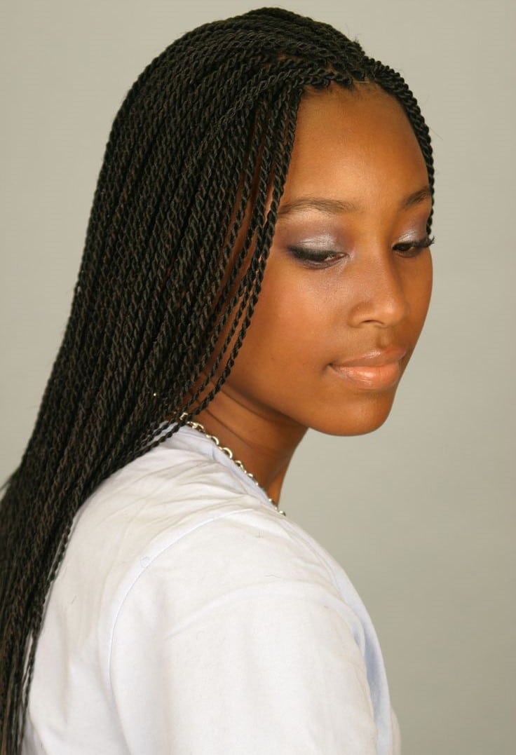 30 Micro Braids Hairstyles - Braid Hairstyles